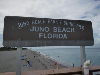 12938 Ellison Wilson Road, North Palm Beach, FL 33408