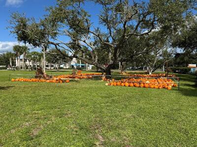 12938 Ellison Wilson Road, North Palm Beach, FL 33408