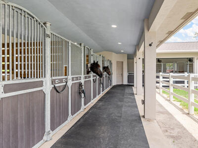 1464 Stallion Drive, Loxahatchee, FL 33470