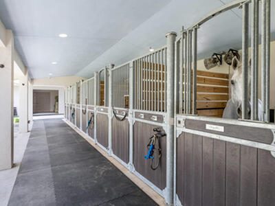 1464 Stallion Drive, Loxahatchee, FL 33470