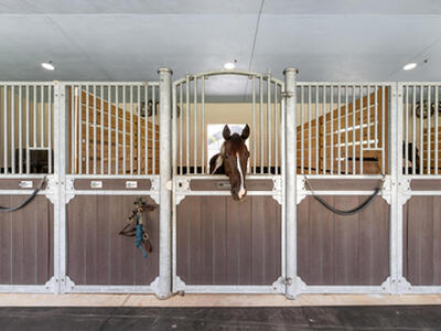 1464 Stallion Drive, Loxahatchee, FL 33470