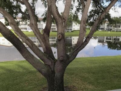 229 Fanshaw F, Boca Raton, FL 33434