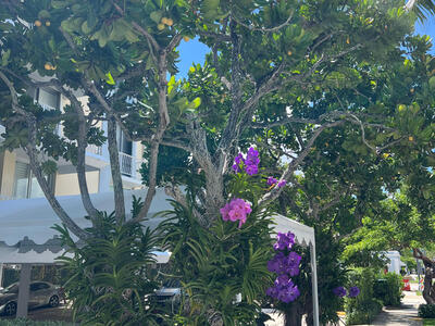 170 Chilean Avenue, Palm Beach, FL 33480