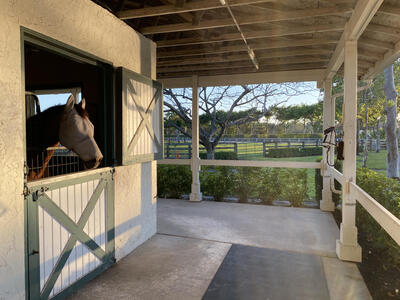 5110 South Shore Boulevard, Wellington, FL 33449