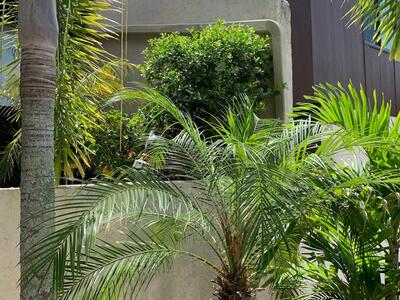 1235 The 12th Fairway, Wellington, FL 33414