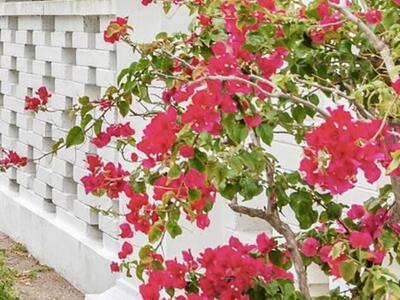 331 Tequesta Drive, Tequesta, FL 33469