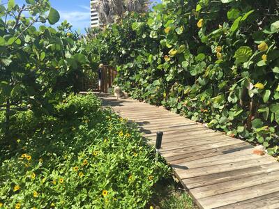 5070 N Ocean Drive, Singer Island, FL 33404