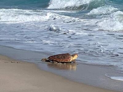 501 Mainsail Circle, Jupiter, FL 33477