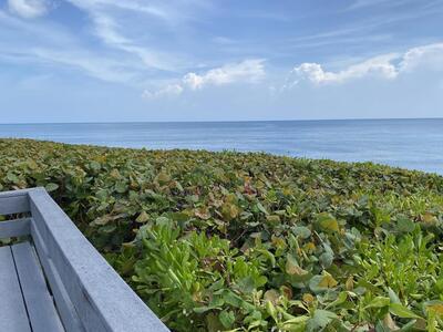 420 Celestial Way, Juno Beach, FL 33408