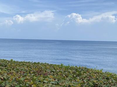 420 Celestial Way, Juno Beach, FL 33408