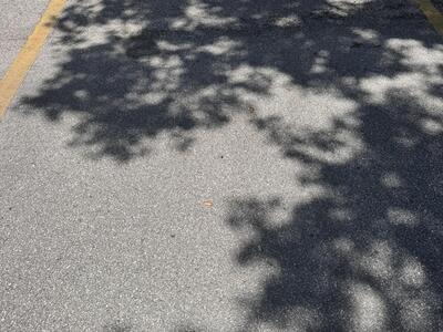 3124 N Us Highway 441, Okeechobee, FL 34974