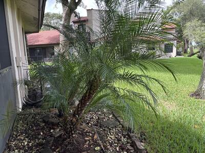 9121 W Sunrise Boulevard, Plantation, FL 33322