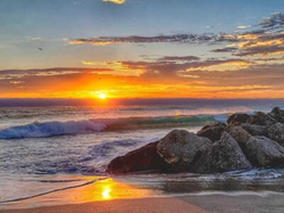 495 SE 8th Street, Deerfield Beach, FL 33441