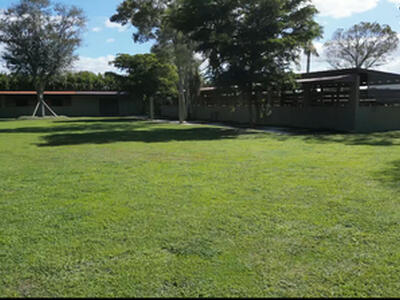 16098 Deer Path Lane, Wellington, FL 33470