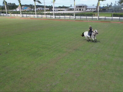 16098 Deer Path Lane, Wellington, FL 33470