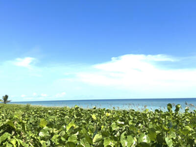 50 Celestial Way, Juno Beach, FL 33408