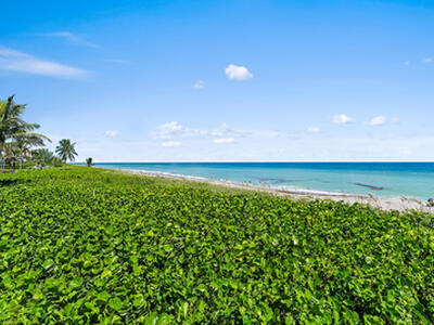 50 Celestial Way, Juno Beach, FL 33408