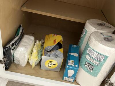 13383 Bedford Mews Court, Wellington, FL 33414