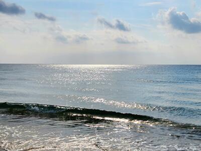 4517 NW 5th Avenue, Boca Raton, FL 33431