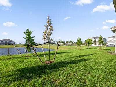 14208 Lacebark Lane, Westlake, FL 33470