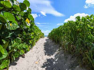 3600 N Ocean Drive, Singer Island, FL 33404