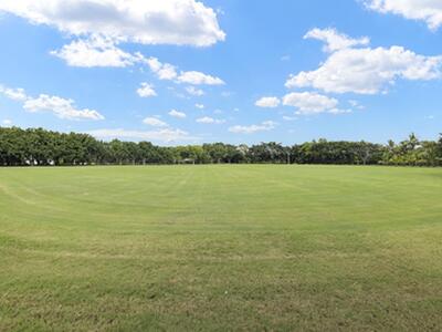 14996 50th Street S, Wellington, FL 33414