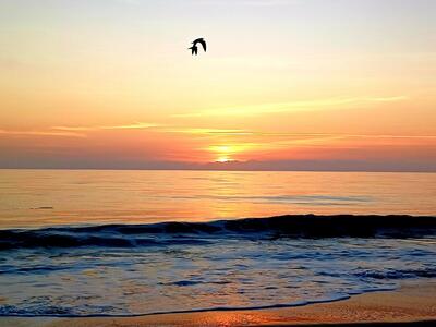 741 17th Lane SW, Vero Beach, FL 32962