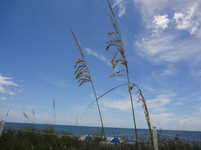 741 17th Lane SW, Vero Beach, FL 32962