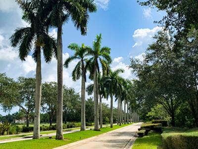 116 SE Cortile Enza, Port Saint Lucie, FL 34952