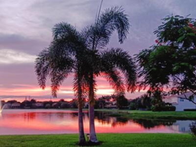 3441 Oakmont Estates Boulevard, Wellington, FL 33414