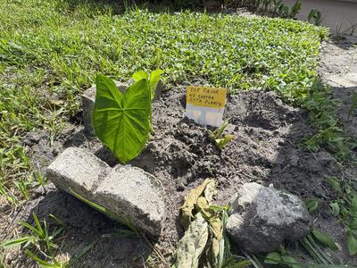 301 Seville M, Delray Beach, FL 33446