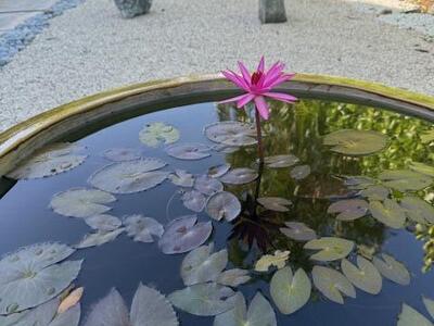 13718 Callington Drive, Wellington, FL 33414