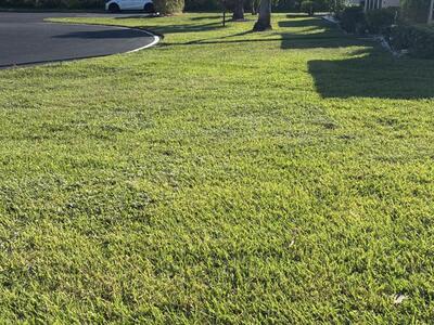 4540 NW 3rd Court, Delray Beach, FL 33445