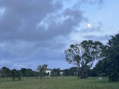 6417 La Costa Drive, Boca Raton, FL 33433