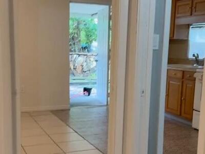 6300 SW 41st Street, Davie, FL 33314