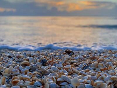 1801 S Us Highway 1, Jupiter, FL 33477