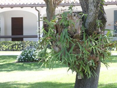 14775 Equestrian Way, Wellington, FL 33414