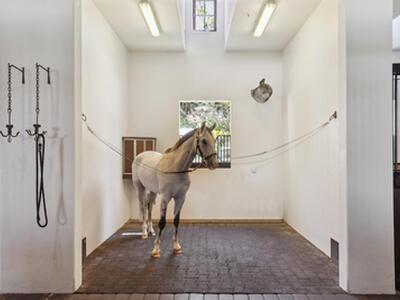 14775 Equestrian Way, Wellington, FL 33414