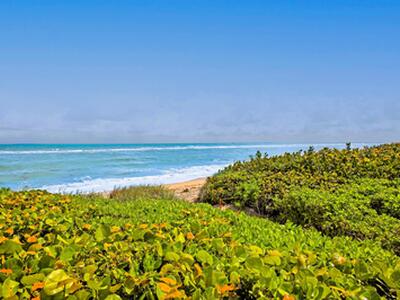 420 Celestial Way, Juno Beach, FL 33408