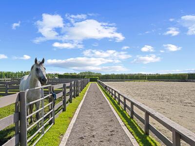 3508 Grand Prix Farms Drive, Wellington, FL 33414