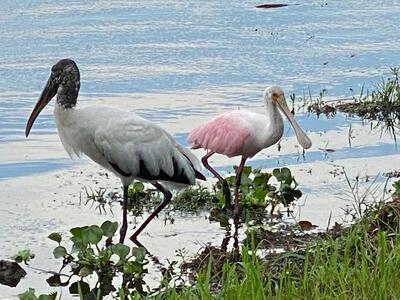 Lake Worth Beach, FL 33461