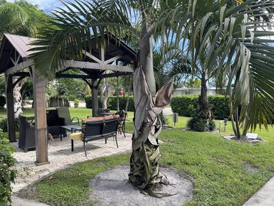 221 SE 1st Avenue, Boynton Beach, FL 33435