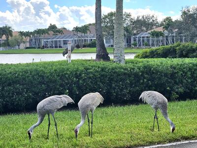 9825 Mantova Drive, Lake Worth, FL 33467