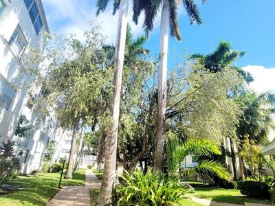 1333 E Hallandale Beach Boulevard, Hallandale Beach, FL 33009