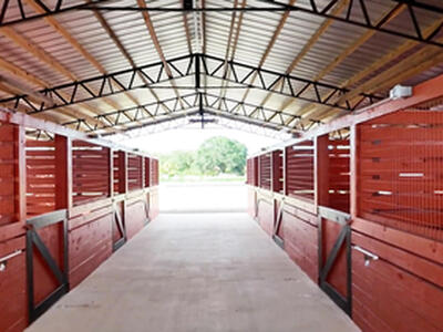 20815 W Bedu Court W