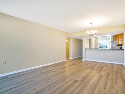 3636 Whitehall Drive, West Palm Beach, FL 33401