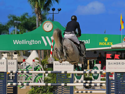 14239 Calypso Lane, Wellington, FL 33414