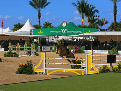 14239 Calypso Lane, Wellington, FL 33414