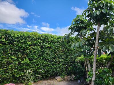 664 W 2nd Street, Riviera Beach, FL 33404