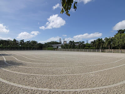 2022 Appaloosa Trail, Wellington, FL 33414